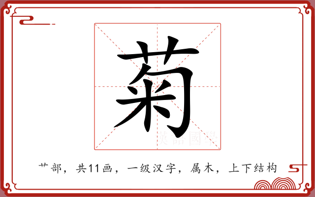 菊 菊