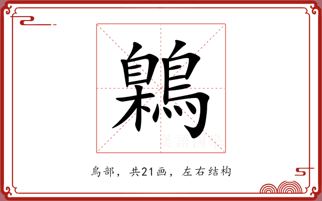 鷍