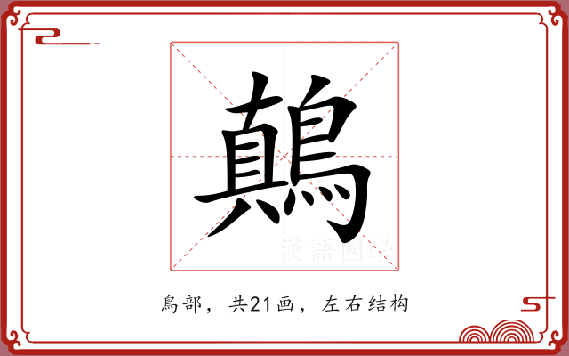 鷏