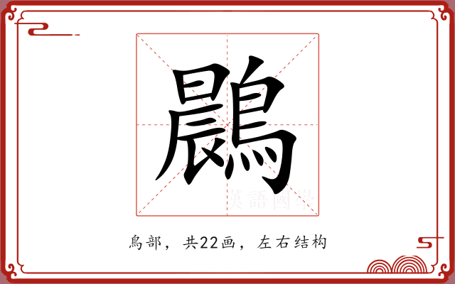 鷐