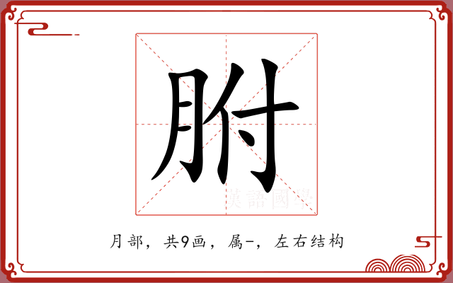 胕 胕