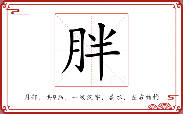 胖 胖