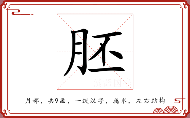 胚 胚
