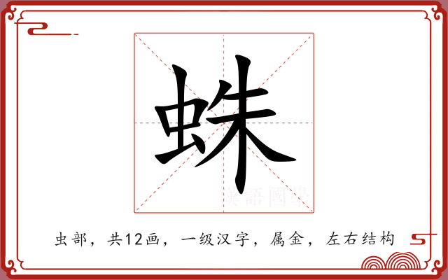蛛 蛛