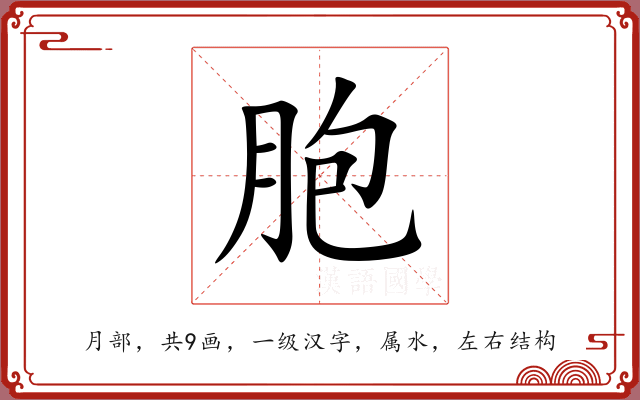 胞 胞