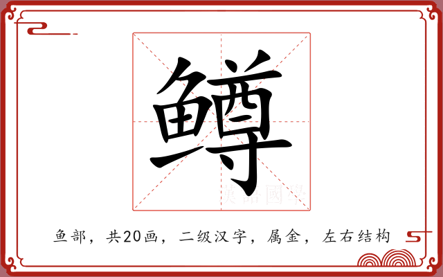 鳟