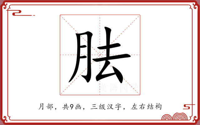 胠