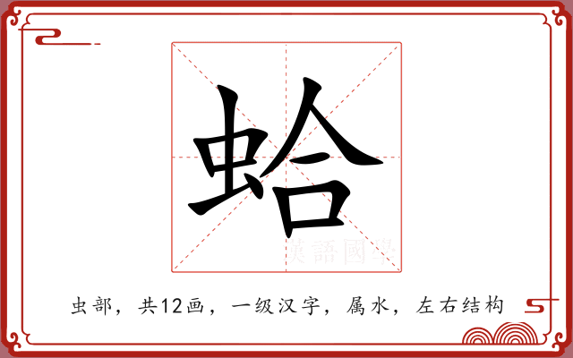 蛤 蛤
