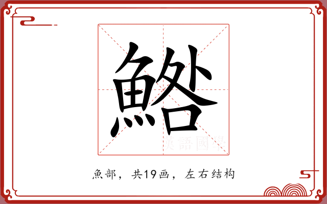 鯦