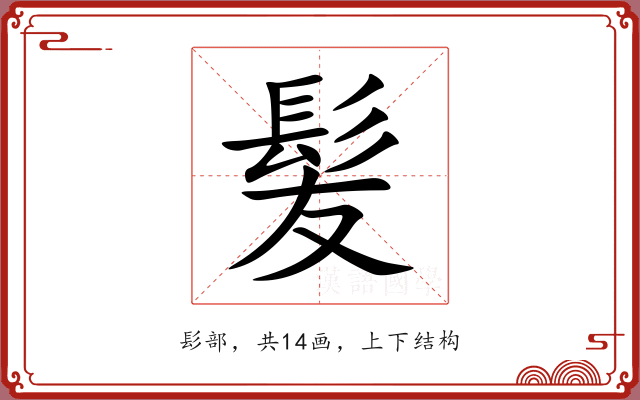 髪