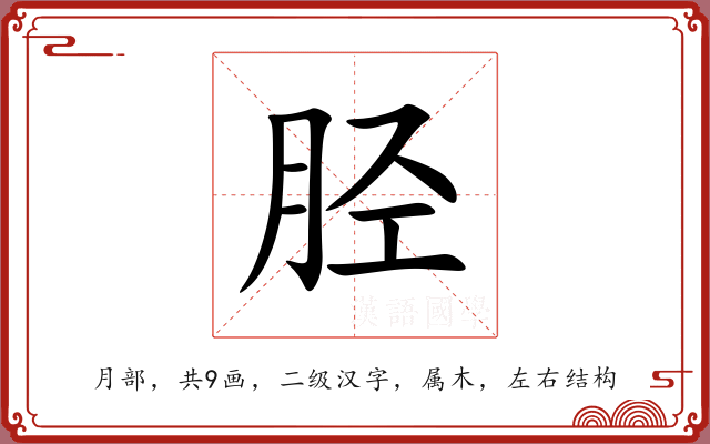 胫 胫