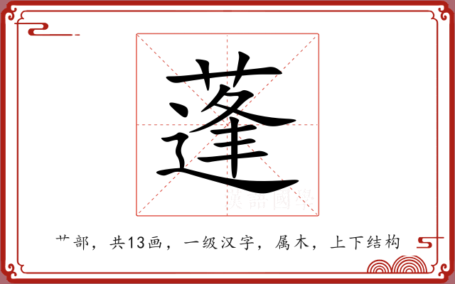 蓬