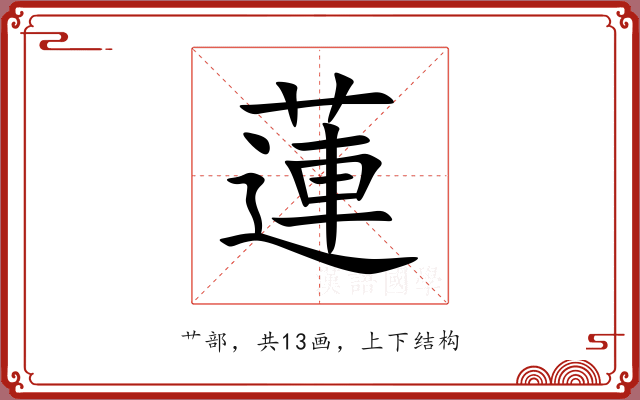 蓮