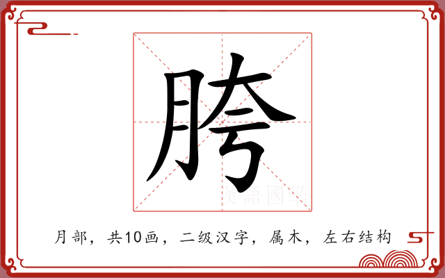胯 胯