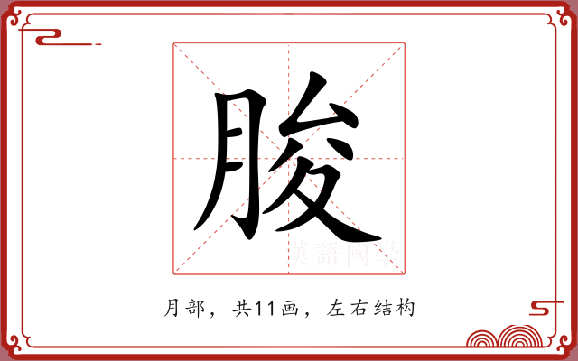 朘 朘