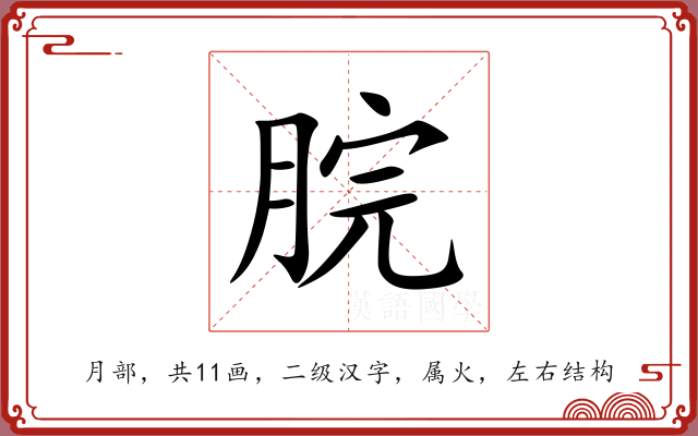 脘