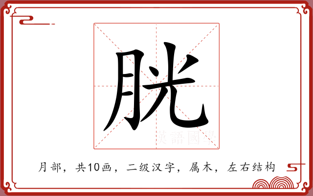 胱 胱