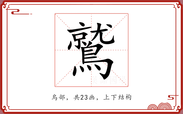 鷲 鷲
