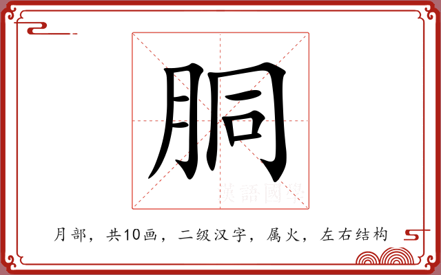 胴 胴