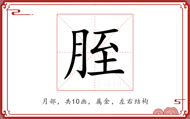 胵 胵