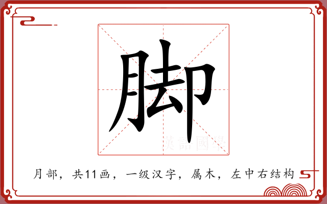 脚 脚