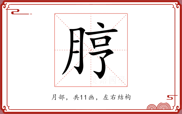 脝 脝