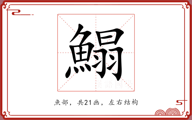 鰨