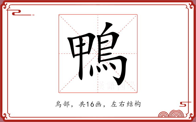 鴨