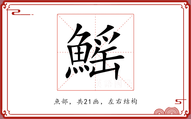 鰩