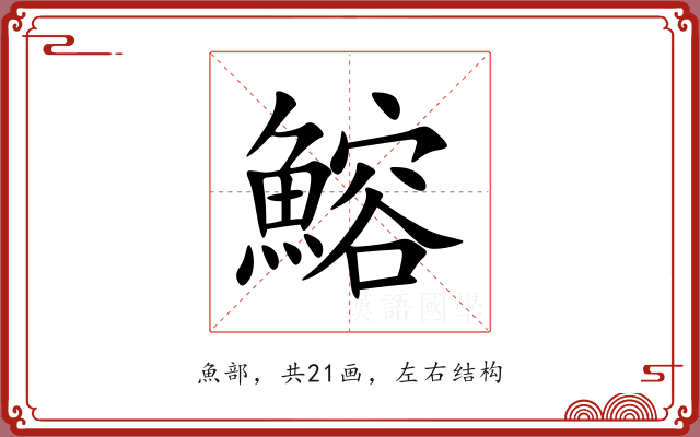 鰫