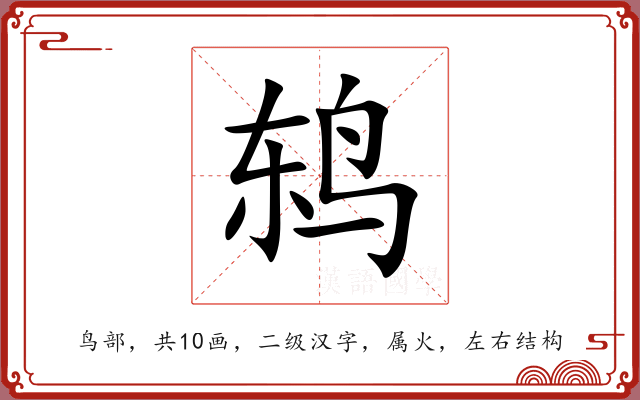 鸫 鸫