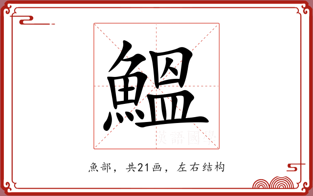 鰮