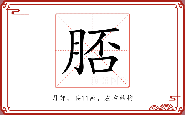 脴