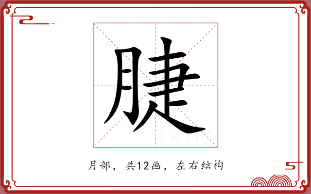 脻 脻