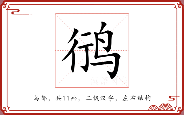 鸻