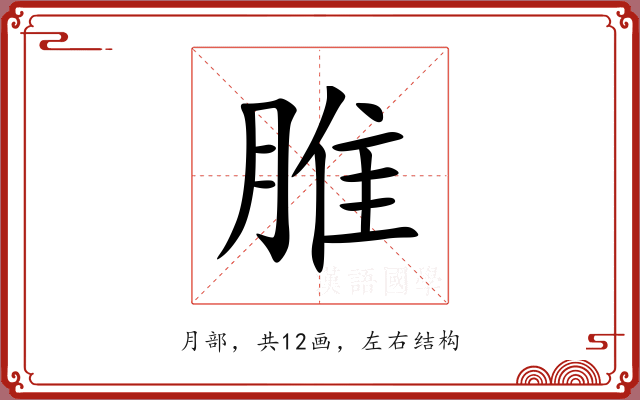 脽