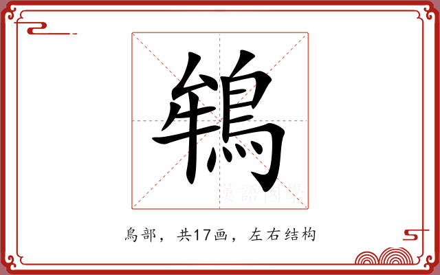 鴾 鴾