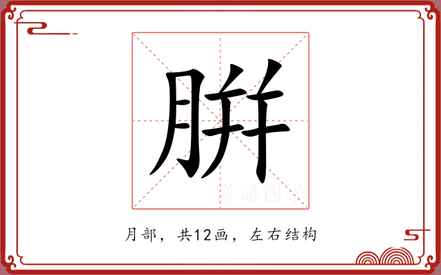 腁 腁