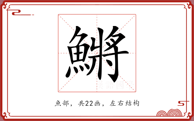 鱂