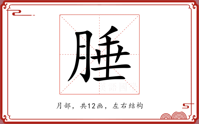 腄