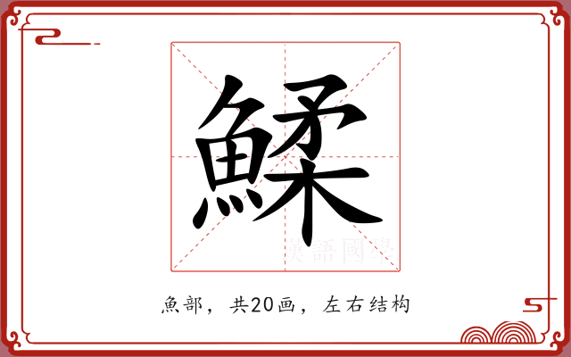 鰇 鰇
