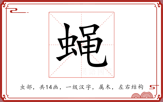 蝇