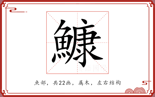 鱇