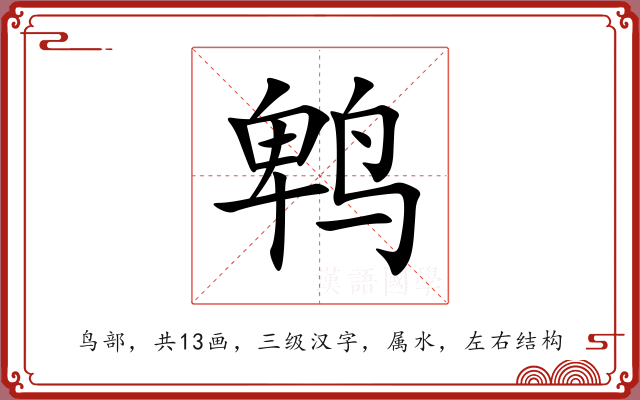 鹎