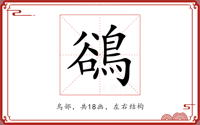 鵒