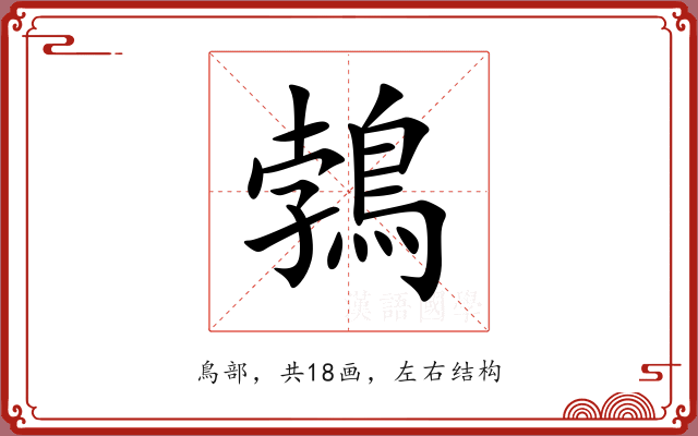 鵓