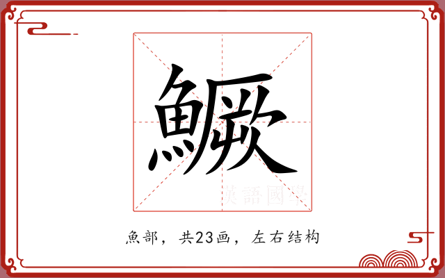 鱖