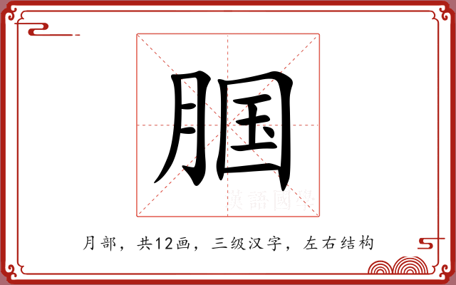 腘