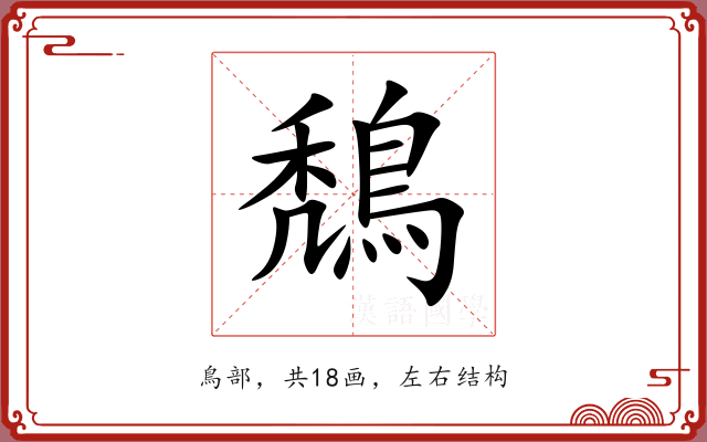 鵚