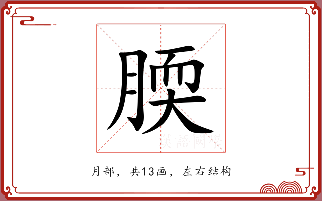 腝